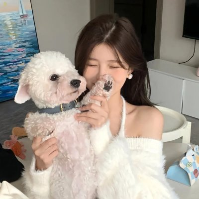 破碎的温柔 在线观看